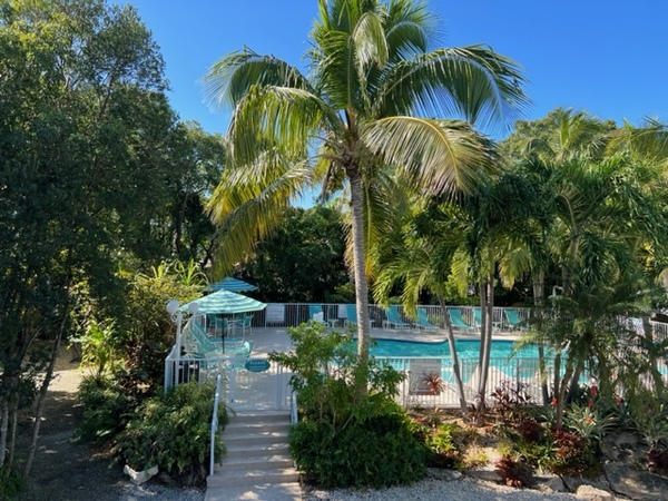 15 Pelican Room Photo 5