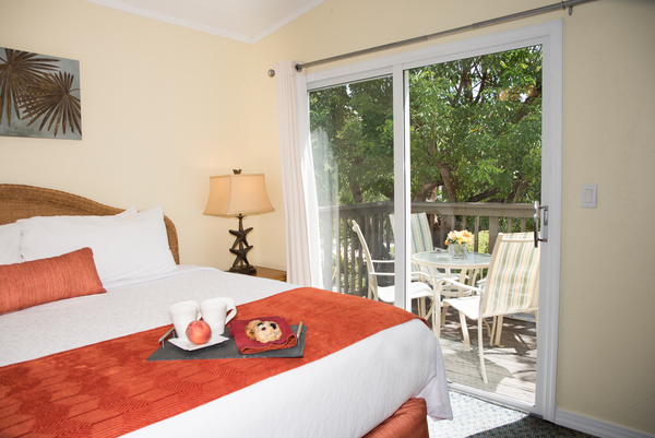 14 Spoonbill Suite Photo 1